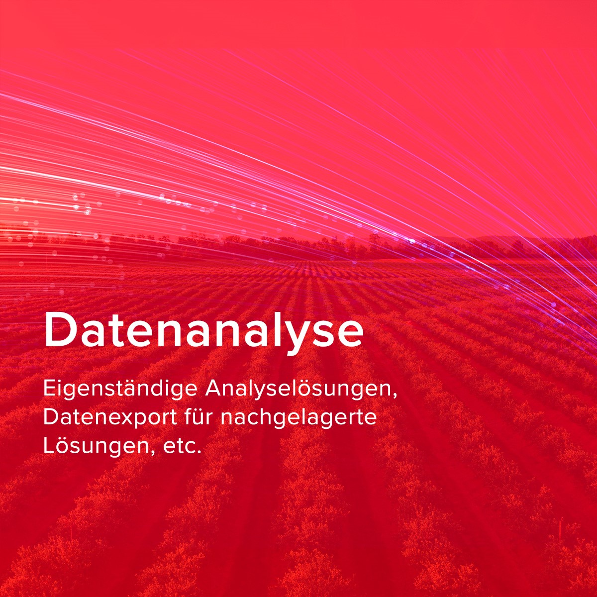 Datenanalyse