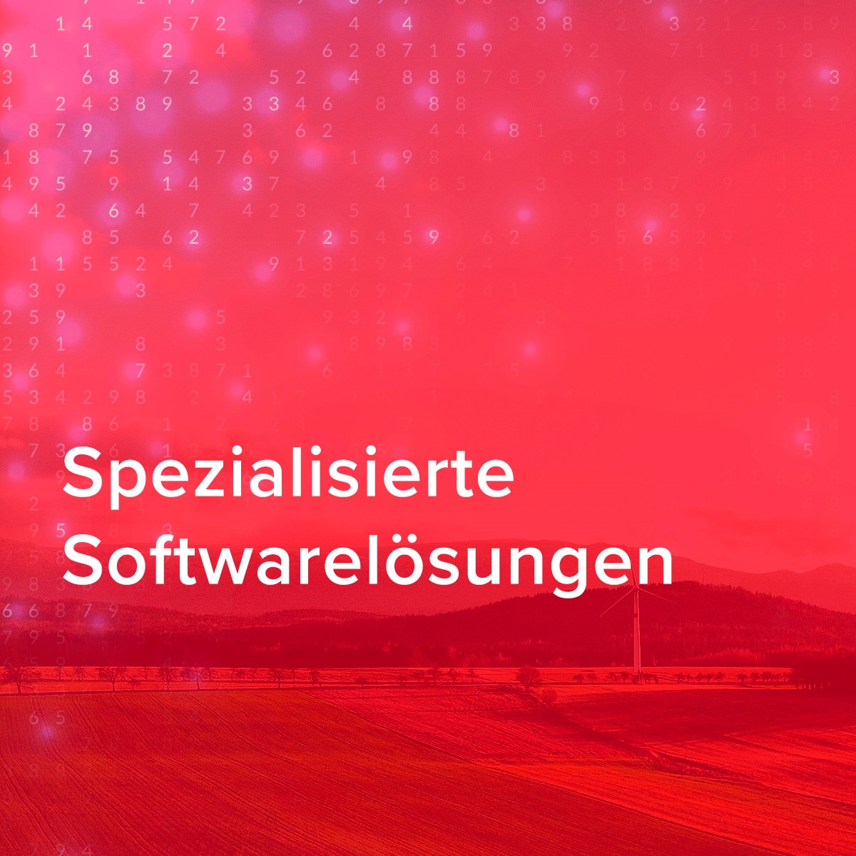SpezialisierteSoftwarelösungen