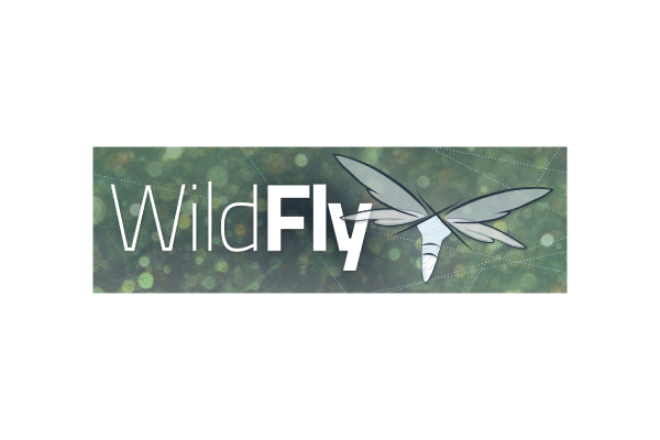 WildFly