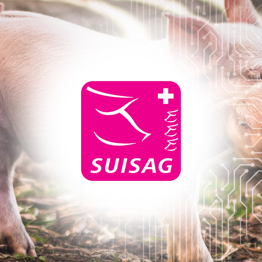 Informationssystem Schweinezucht
