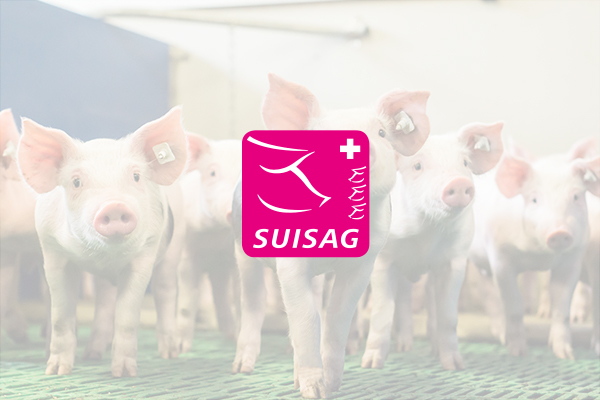 Informationssystem Schweinezucht